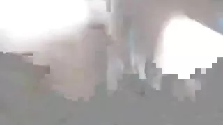 Vampir-Para arap türbanlı porn Tatlı Yayıldı