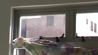 Kedi porno turbanli arap ile oynuyor