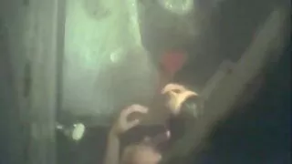 Kız yeni arap pornosu